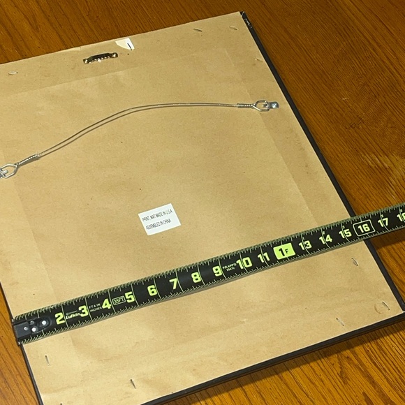 Parrot Artwork - Picture 6 of 8